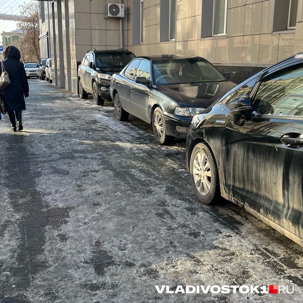 Источник: Елена Буйвол / VLADIVOSTOK1.RU