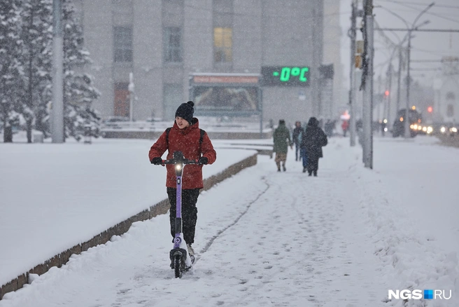 Источник: Александр Ощепков / NGS.RU