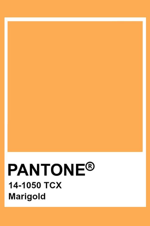 Фото №1 - Модный прогноз: институт цвета Pantone назвал главные оттенки весеннего сезона 2021