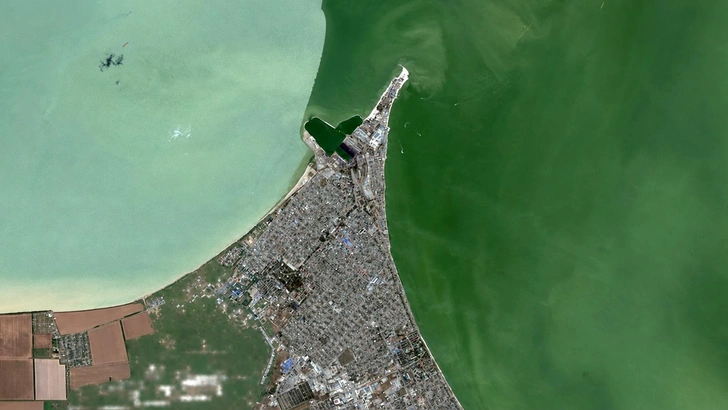 Так Ейск выглядит из космоса: в море выдается длинная Ейская коса, часть которой со временем стала островом | Источник: Яндекс.Карты