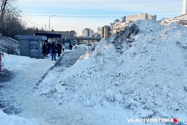 Службы пытались спасти ситуацию как могли | Источник: Елена Буйвол