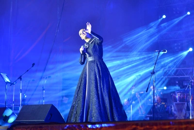 Елена Ваенга даст два концерта в Перми в январе