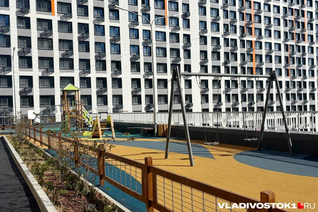 Источник: Елена Буйвол / VLADIVOSTOK1.RU