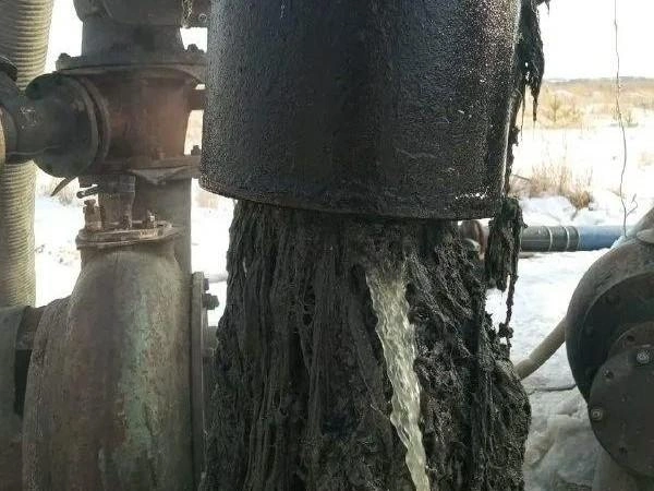 Вот такого «монстра» сотрудники «Водного союза» вытащили из временной перекачивающей станции | Источник: Пресс-служба АО «Водный Союз»