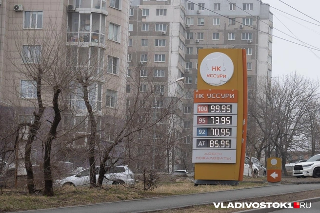 Источник: Елена Буйвол / VLADIVOSTOK1.RU
