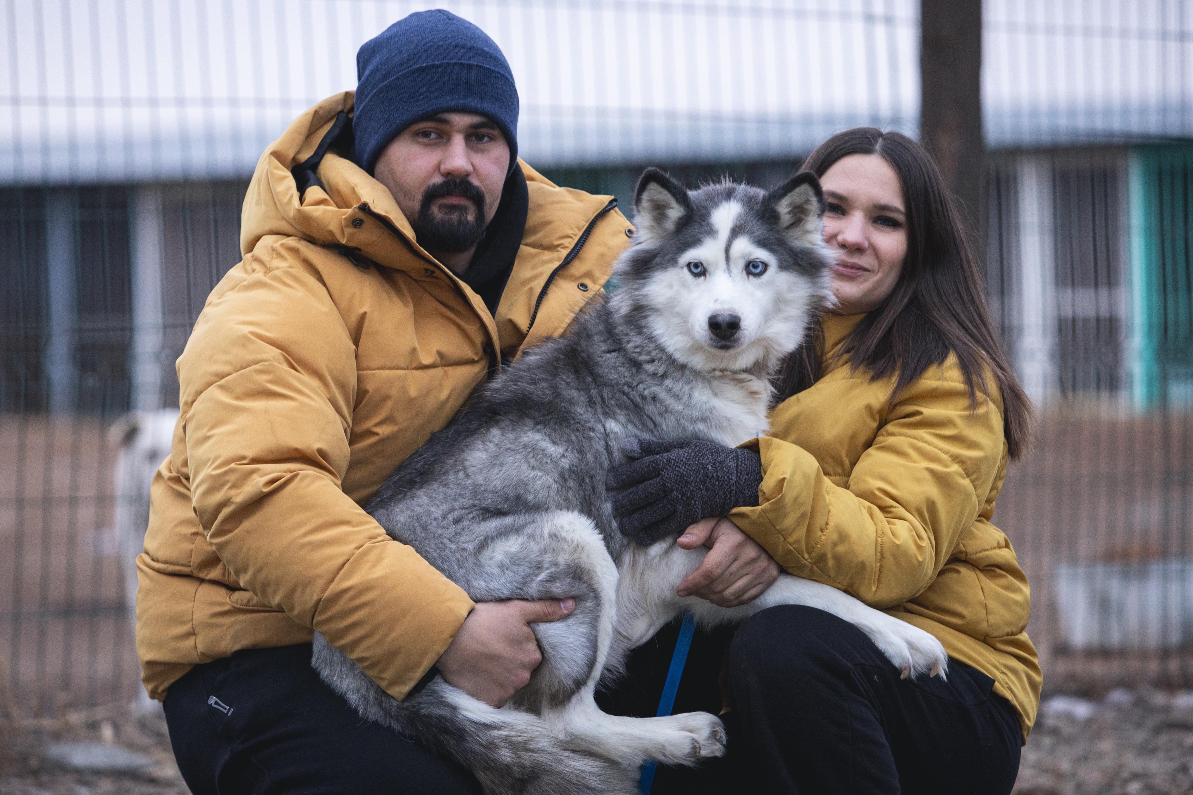 «Кровь текла по рукам». История пары, которая под Новый год вывезла с живодерни 20 собак и создала приют