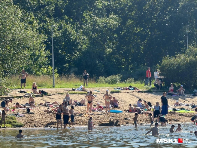 Люди загорают, лежа на теплом песке | Источник: Вера Борисова / MSK1.RU