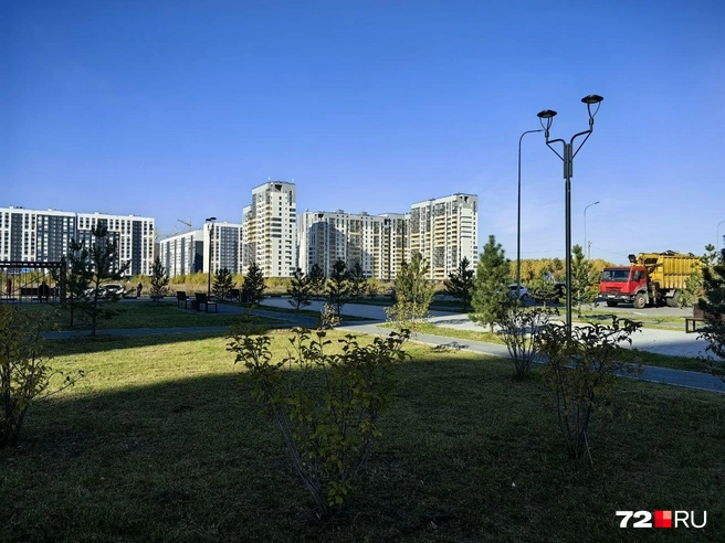 За парком строят еще несколько новых домов | Источник: Павел Красоткин / 72.RU 