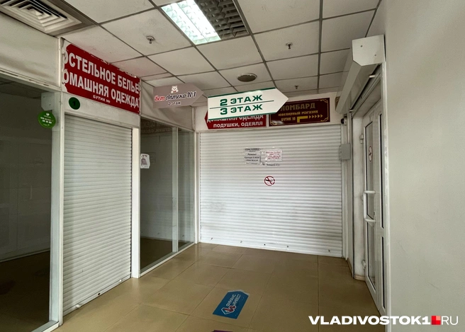 Источник: Елена Буйвол / VLADIVOSTOK1.RU