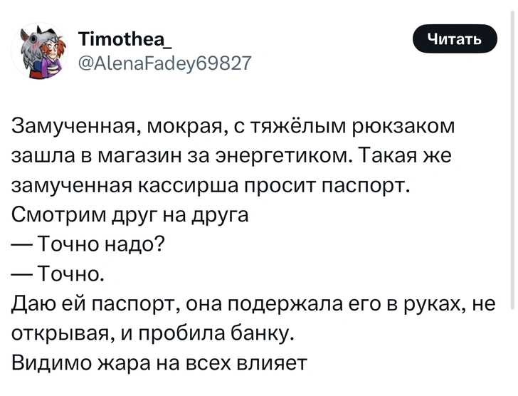 Источник: X (Twitter)