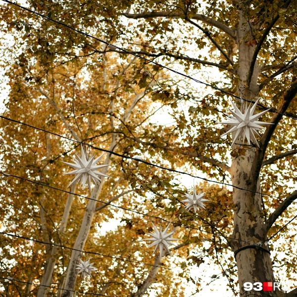 Источник: Дарья Паращенко / 93.RU