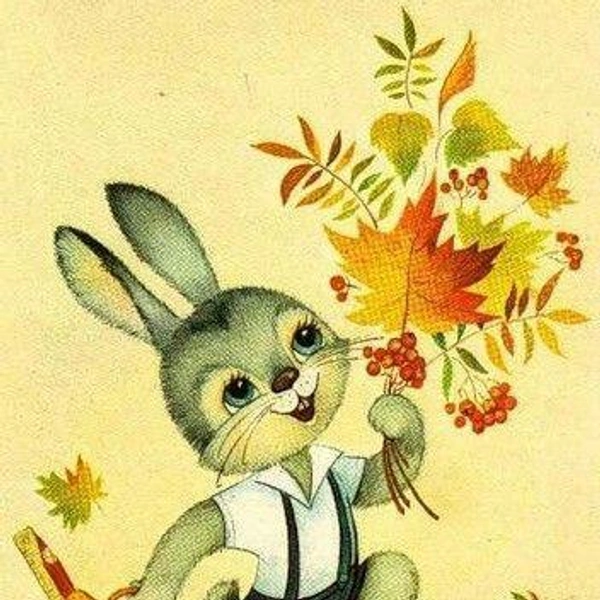 Источник: соцсети