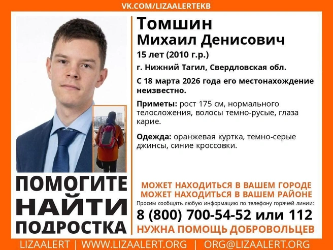 Источник: поисковый отряд «ЛизаАлерт» Свердловской области