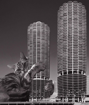 «Кошки брутализма»: кто и зачем фотошопит домашних животных к постройкам (странная галерея)