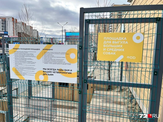 Вот так выглядит вход на площадку | Источник: Анатолий Кузнецов / 72.RU