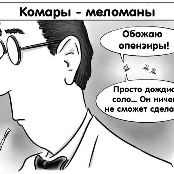 Источник: соцсети