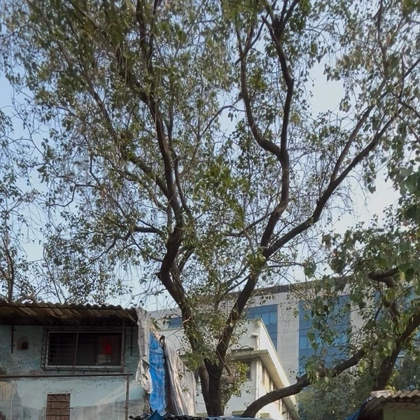 Источник: Софья Золотухина