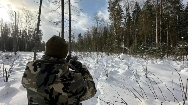 Охотник выстрелил в своего знакомого, приняв его за косулю | Источник: СУ СКР по Свердловской области