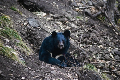 Антип Водогон: приметы и запреты 24 апреля