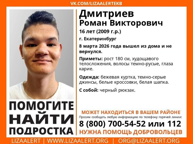 Ориентировка на Романа Дмитриева. | Источник: «ЛизаАлерт»
