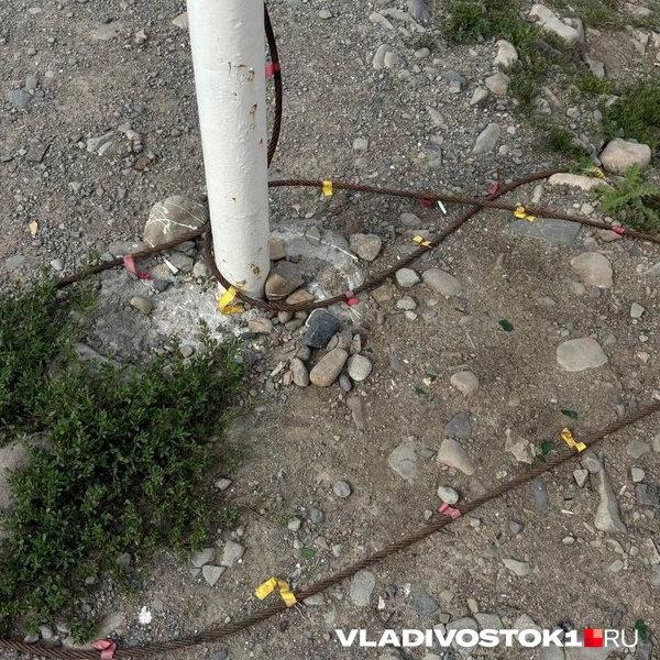 Источник: Елена Буйвол / VLADIVOSTOK1.RU