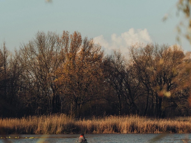 Серия снимков для ознакомления. | Источник: Александр Воднев