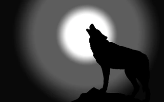 Как победить оборотня и другие премудрости: а вы сможете пройти этот коварный тест на знание секретов наших предков?