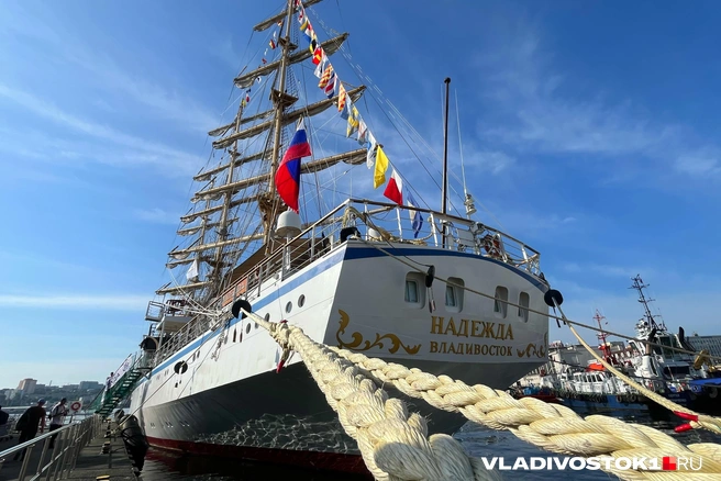 Источник: Елена Буйвол / VLADIVOSTOK1.RU