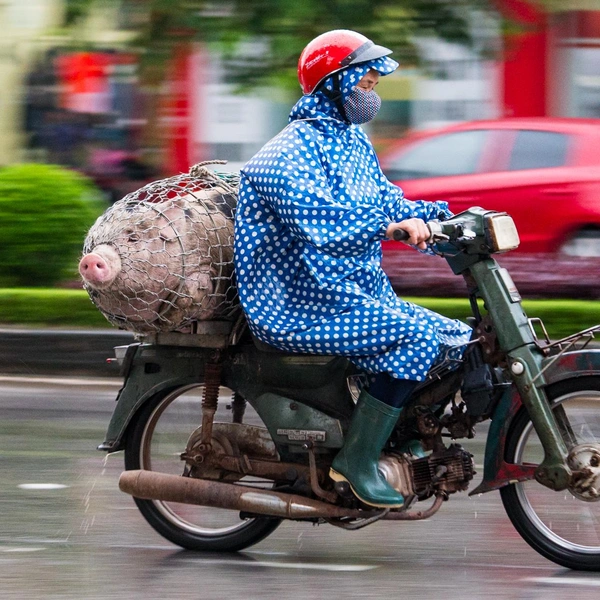 Источник: Lawrence Worcester / World Food Photography Awards 2025
