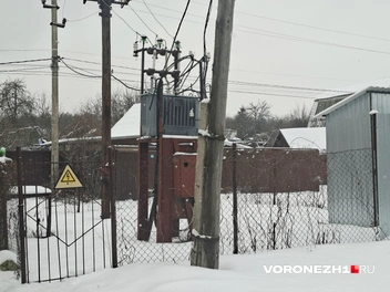 Источник: Алена Воропаева / Voronezh1.ru