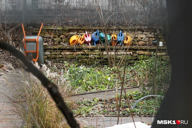 Закрытый на реконструкцию сад имени Травникова | Источник: Артем Устюжанин / MSK1.RU