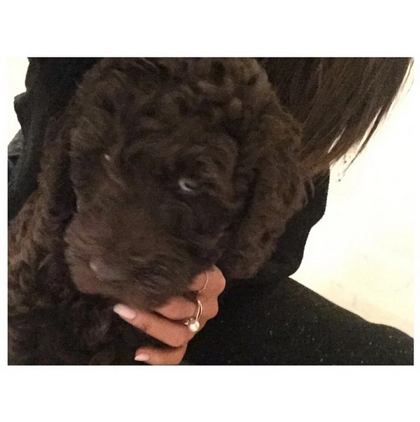Источник: @arianagrande