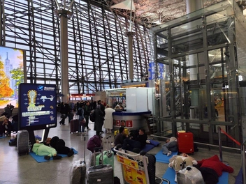 Источник: Игорь Мещанев / MSK1.RU