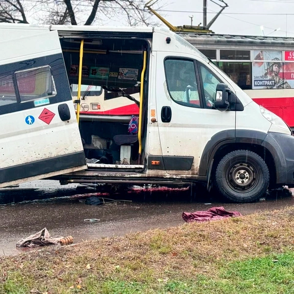 Источник: Александр Горбанев / 71.RU