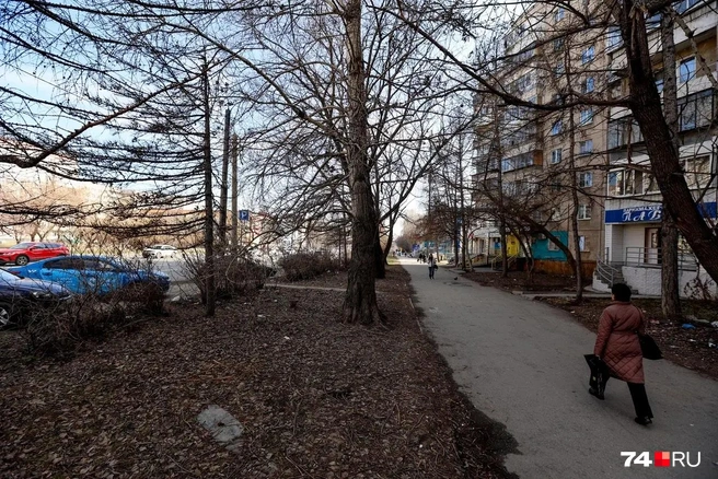 Зато здесь нога дворника как будто и не ступала | Источник: Наталья Лапцевич