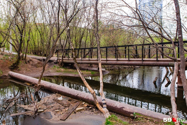 А вот и сам мост. Без ступеней | Источник: Тимофей Калмаков