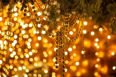 Мероприятия в Ярославле 4 января: афиша