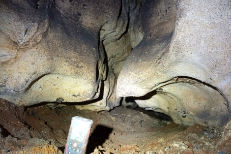 Найдена самая длинная карстовая пещера в Подмосковье