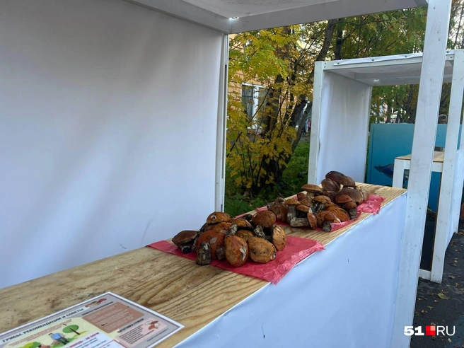 Источник: Александра Балаба