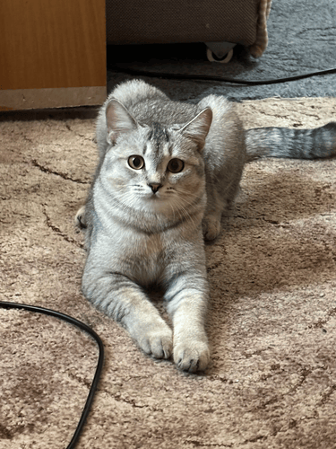 Изображение пользователя