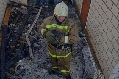 Пожарные спасли кота из горящего сарая в Татарстане
