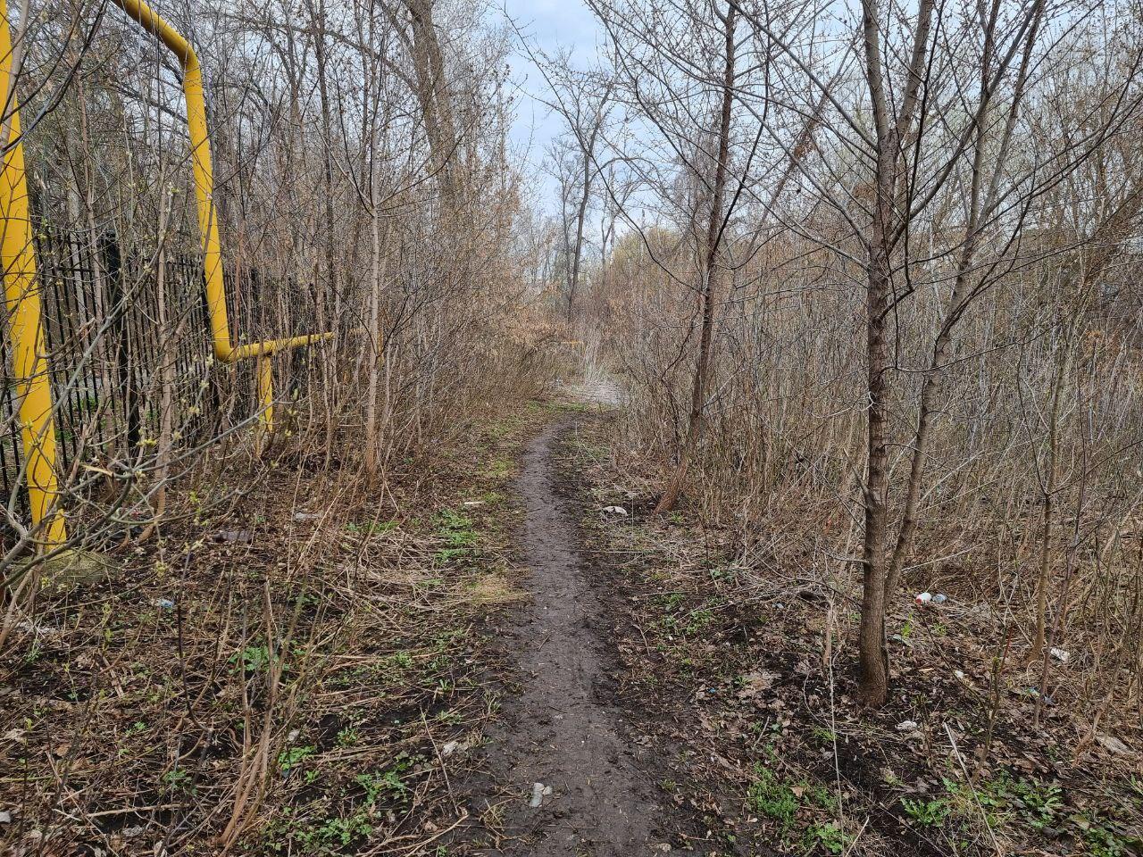 Должны были начать в 2024 году, но… Что сейчас происходит на месте продления Авроры в Самаре 