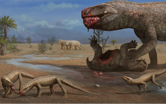 В Бразилии открыли новый вид рептилий, живших за миллионы лет до динозавров