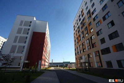 Тараканы в общежитии УрФУ: студенты требуют дезинсекции