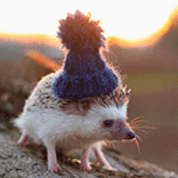 Аватарка Marisha