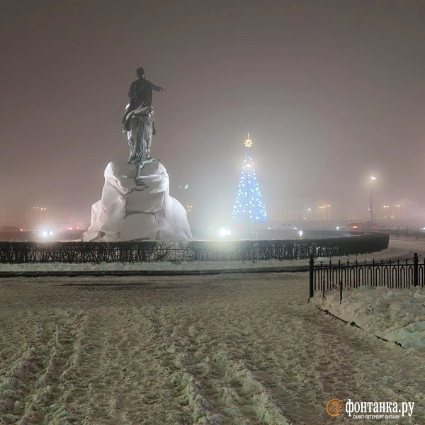 Источник: Алина Циопа / «Фонтанка.ру»