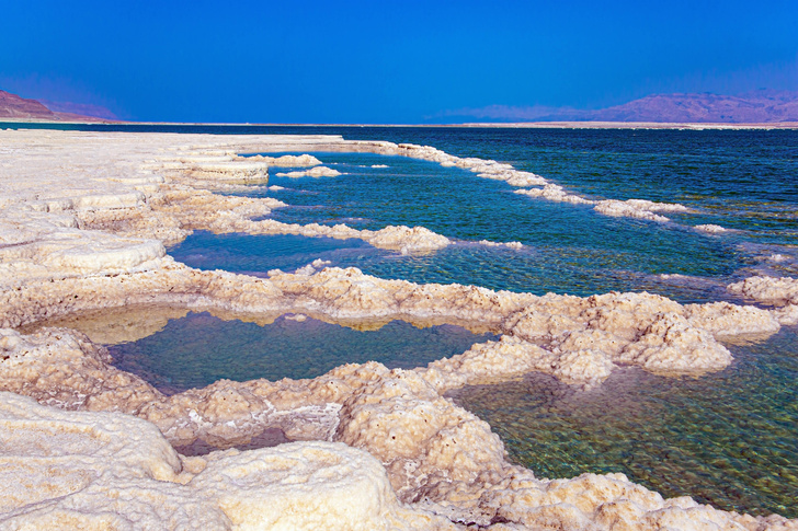 Живет ли кто-нибудь в Мертвом море?