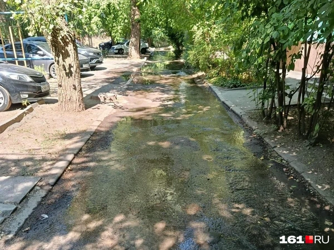 Ростовчане на Казахской остались один на один с потопом и бездействием УК | Источник: читатель 161.RU