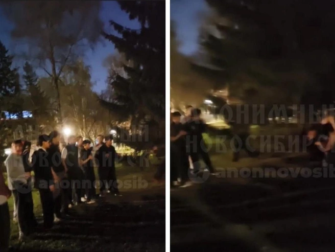 Массовая драка в Первомайском сквере: толпа снимала на видео | Источник: «Анонимный Новосибирск» / Telegram