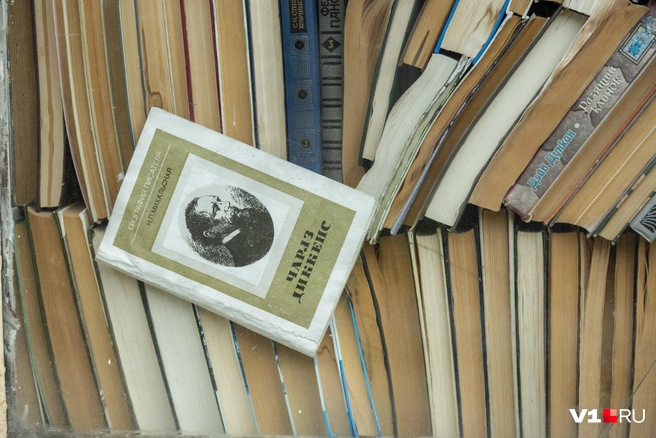 Попытаться продать книги еще есть возможность | Источник: Константин Завриков
